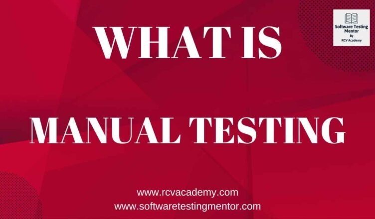What is Manual Testing | With Examples
